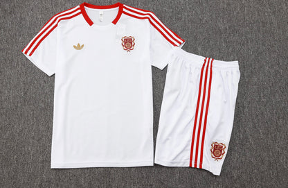 CAMISETA Y PANTALÓN CORTO ENTRENAMIENTO BAYERN 25/26