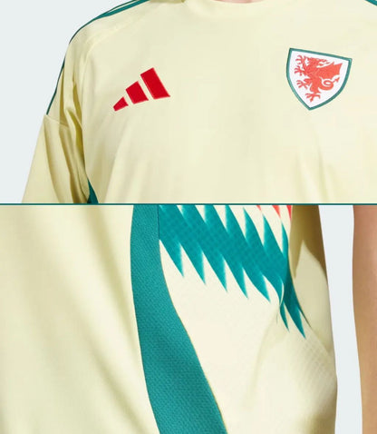 CAMISETA GALÉS 24/25