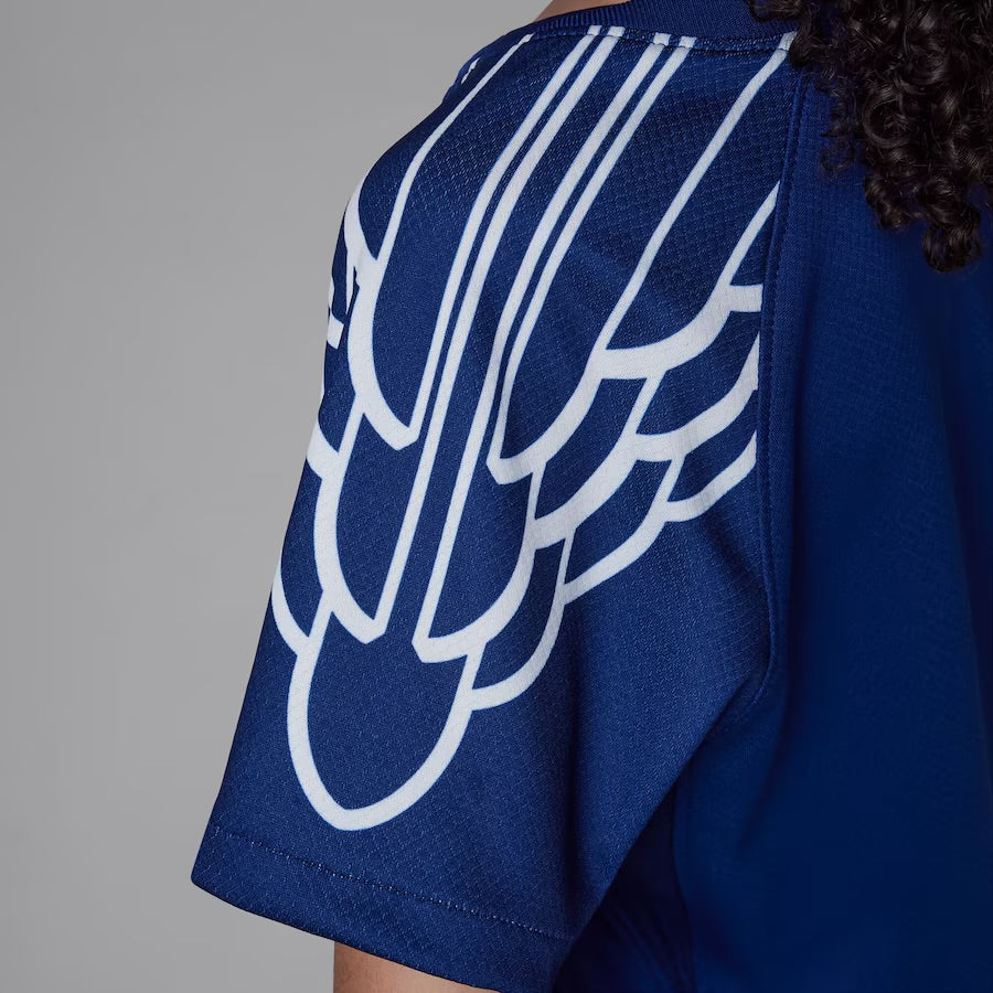 CAMISA E PANTALONES CORTOS PARA NIÑOS PSG JORDAN FOURTH 24/25 - CON MEDIAS