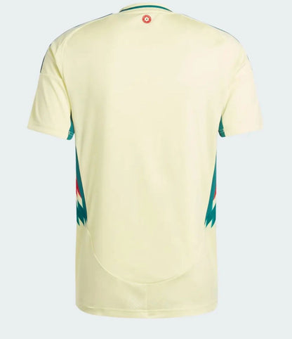 CAMISETA GALÉS 24/25