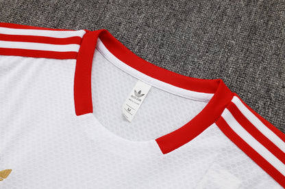 CAMISETA Y PANTALÓN CORTO ENTRENAMIENTO BAYERN 25/26