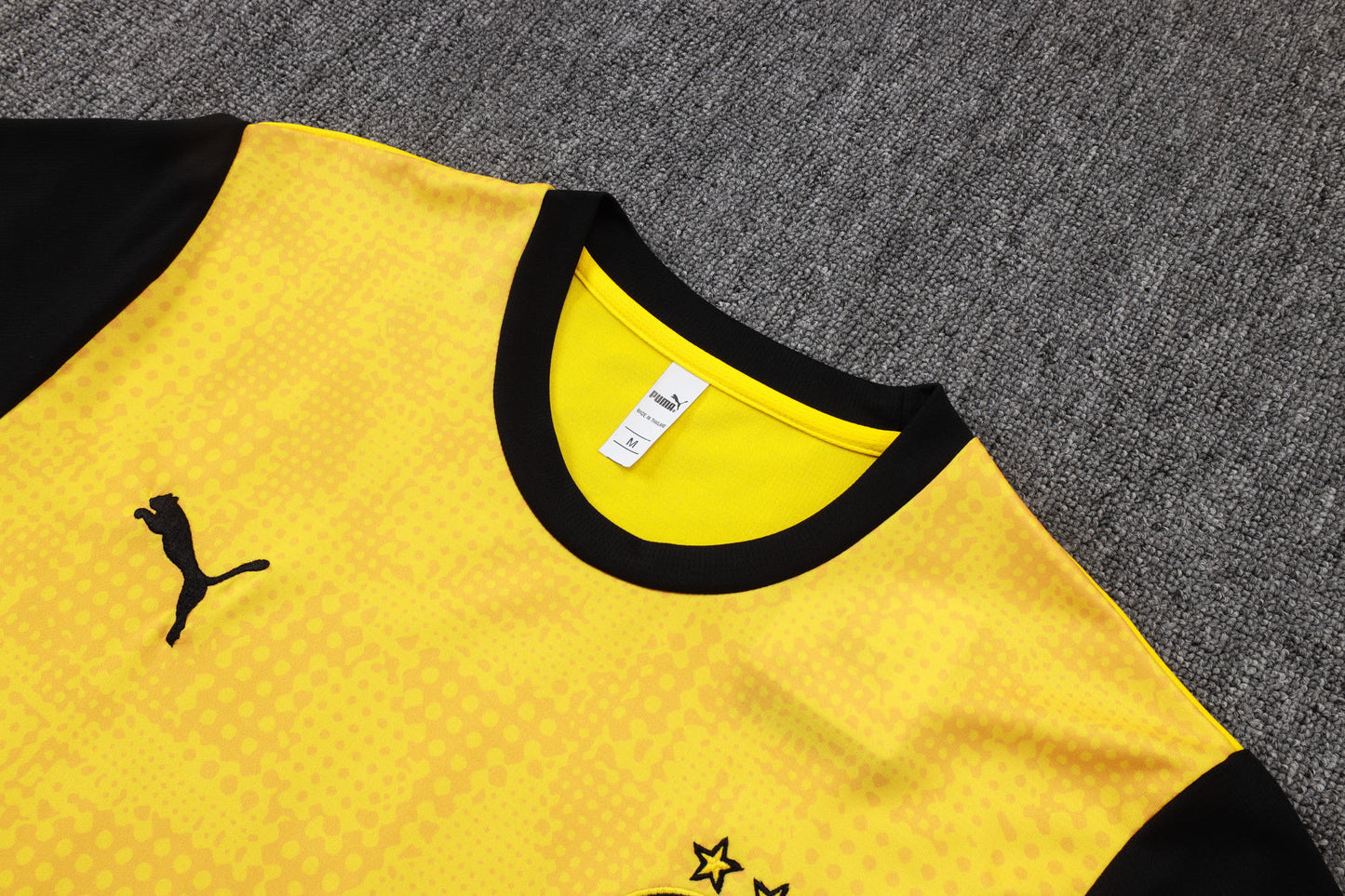 CAMISETA Y PANTALÓN CORTO ENTRENAMIENTO BORUSSIA DORTMUND 25/26