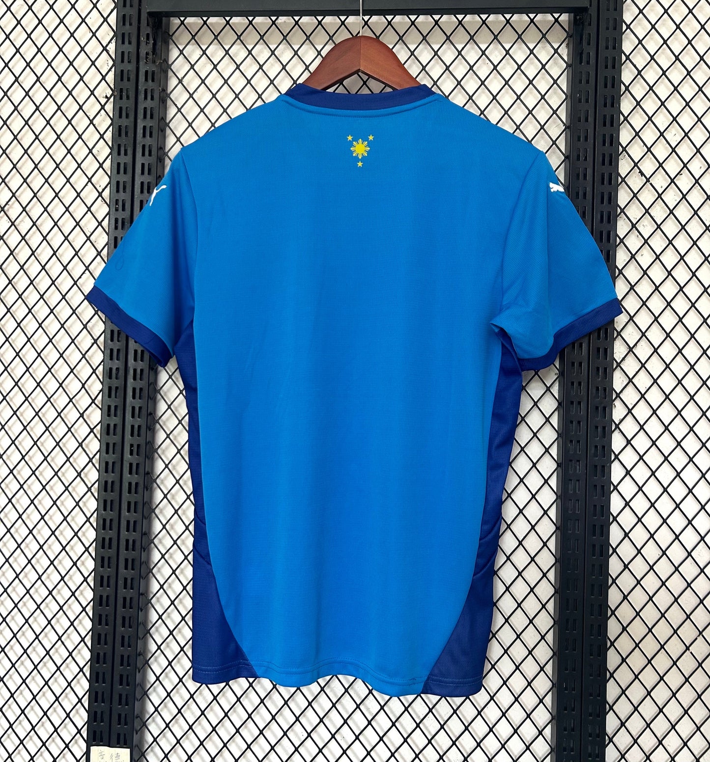 CAMISETA SELECCIÓN PHILIPPINE 25/26