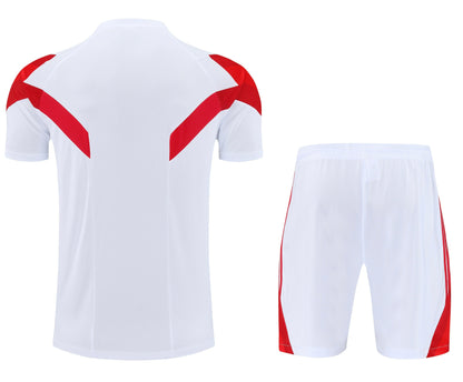 CAMISETA Y PANTALÓN CORTO ENTRENAMIENTO BAYERN 25/26