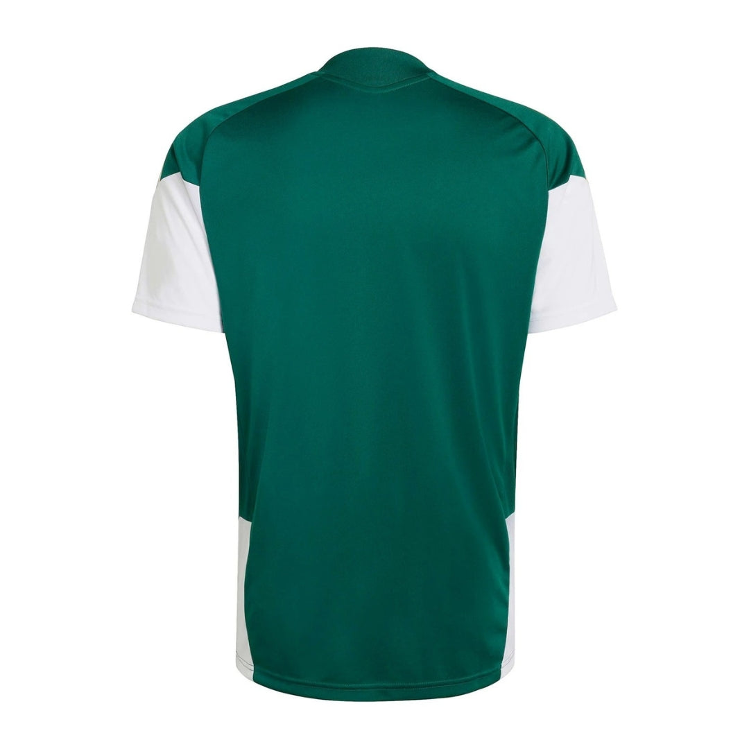 Camiseta de fútbol verde y blanca Italia Training 2026, vista trasera, Reino del Futbol