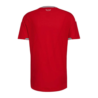 Camiseta roja de fútbol oficial País de Gales, vista trasera, Reino del Futbol