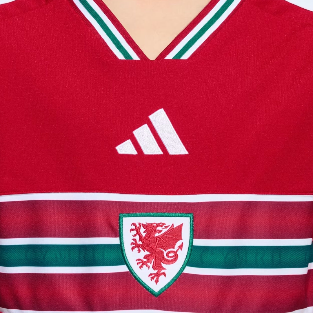 PAÍS DE GALES I 2026 WORLD CUP HOMBRE