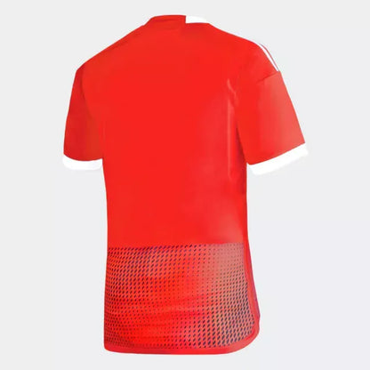 CAMISETA PERÚ II 2023
